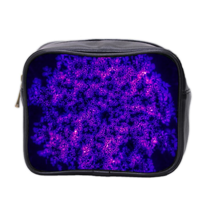 Queen Annes Lace in Blue and Purple Mini Toiletries Bag (Two Sides)