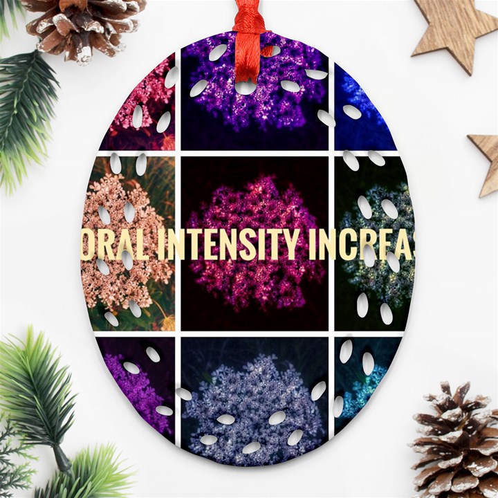 Floral Intensity Increases  Ornament (Oval Filigree)