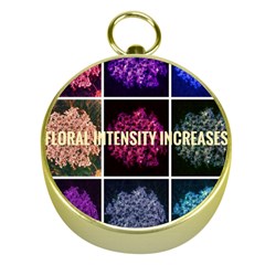 Floral Intensity Increases  Gold Compasses by okhismakingart