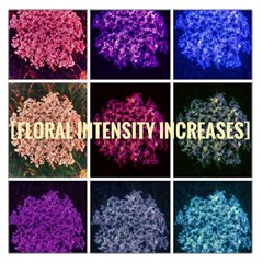 Floral Intensity Increases  Large Satin Scarf (square) by okhismakingart