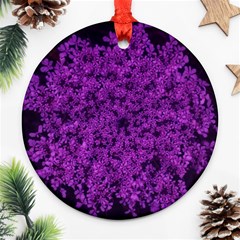 Queen Annes Lace In Purple Ornament (round) by okhismakingart