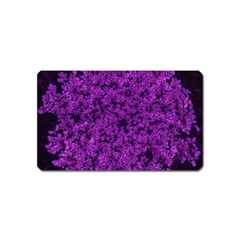 Queen Annes Lace In Purple Magnet (name Card) by okhismakingart