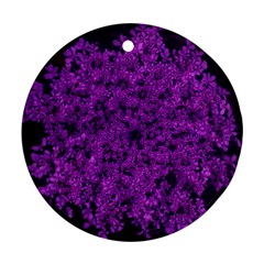 Queen Annes Lace In Purple Round Ornament (two Sides) by okhismakingart