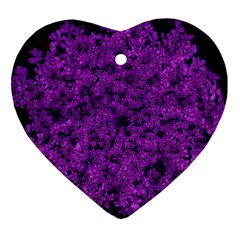 Queen Annes Lace In Purple Heart Ornament (two Sides) by okhismakingart