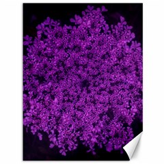 Queen Annes Lace In Purple Canvas 36  X 48  by okhismakingart