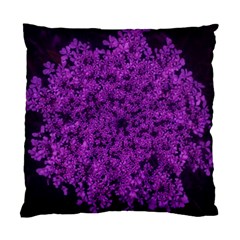 Queen Annes Lace In Purple Standard Cushion Case (two Sides) by okhismakingart