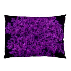 Queen Annes Lace In Purple Pillow Case by okhismakingart