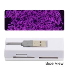 Queen Annes Lace In Purple Memory Card Reader (stick) by okhismakingart