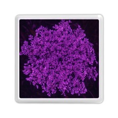 Queen Annes Lace In Purple Memory Card Reader (square) by okhismakingart