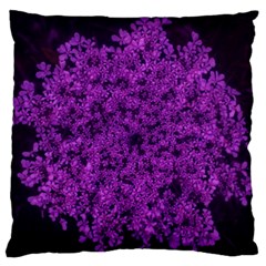 Queen Annes Lace In Purple Large Flano Cushion Case (two Sides) by okhismakingart