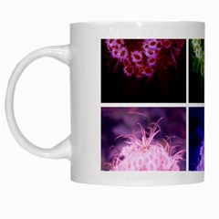 Closing Queen Annes Lace Collage (horizontal) White Mugs by okhismakingart