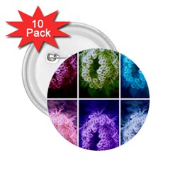 Closing Queen Annes Lace Collage (horizontal) 2 25  Buttons (10 Pack)  by okhismakingart