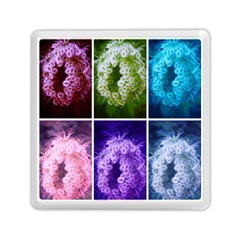 Closing Queen Annes Lace Collage (horizontal) Memory Card Reader (square) by okhismakingart