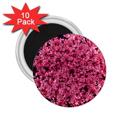 Queen Annes Lace In Red Part Ii 2 25  Magnets (10 Pack)  by okhismakingart