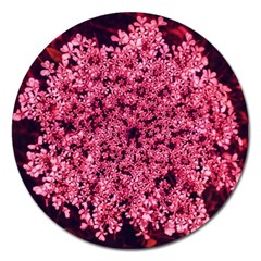 Queen Annes Lace In Red Part Ii Magnet 5  (round) by okhismakingart