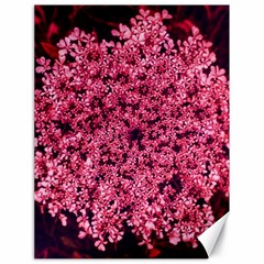 Queen Annes Lace In Red Part Ii Canvas 18  X 24  by okhismakingart