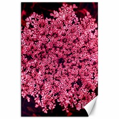 Queen Annes Lace In Red Part Ii Canvas 24  X 36  by okhismakingart