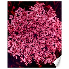 Queen Annes Lace In Red Part Ii Canvas 11  X 14  by okhismakingart