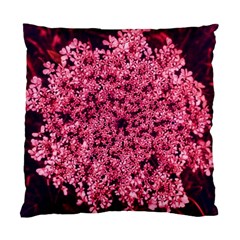 Queen Annes Lace In Red Part Ii Standard Cushion Case (two Sides) by okhismakingart