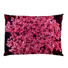 Queen Annes Lace In Red Part Ii Pillow Case by okhismakingart