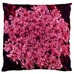 Queen Annes Lace In Red Part Ii Large Cushion Case (one Side) by okhismakingart