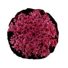 Queen Annes Lace In Red Part Ii Standard 15  Premium Flano Round Cushions by okhismakingart