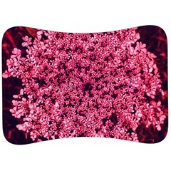 Queen Annes Lace In Red Part Ii Velour Seat Head Rest Cushion by okhismakingart