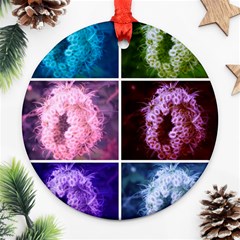 Closing Queen Annes Lace Collage (vertical) Ornament (round) by okhismakingart