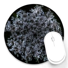 Queen Annes Lace In White Round Mousepads by okhismakingart