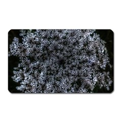 Queen Annes Lace In White Magnet (rectangular) by okhismakingart