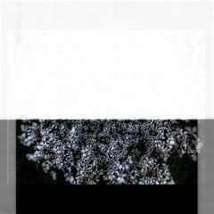 Queen Annes Lace In White Rectangular Jigsaw Puzzl by okhismakingart