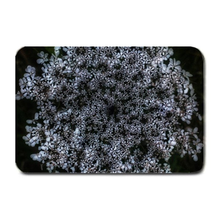 Queen Annes Lace in White Plate Mats