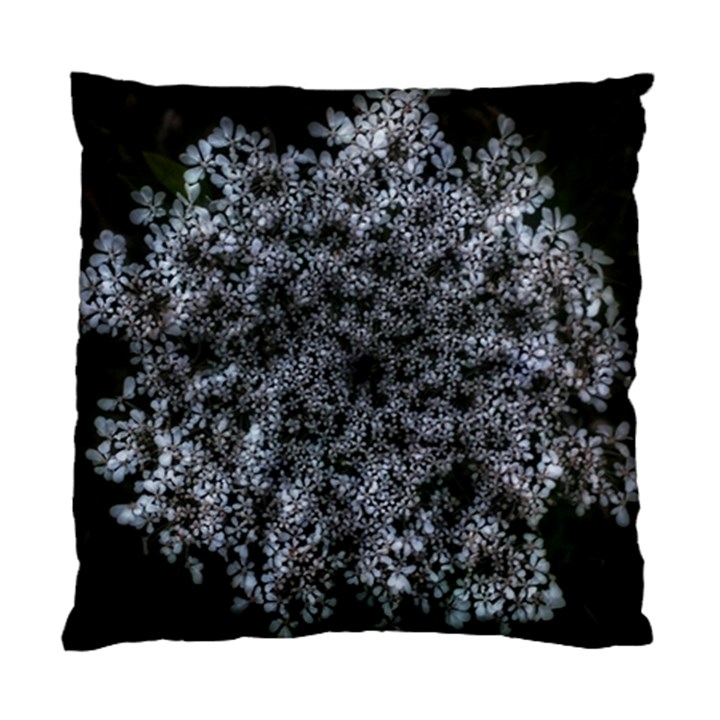 Queen Annes Lace in White Standard Cushion Case (Two Sides)