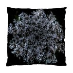 Queen Annes Lace in White Standard Cushion Case (Two Sides) Back