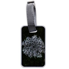 Queen Annes Lace In White Luggage Tags (two Sides) by okhismakingart