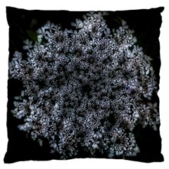 Queen Annes Lace In White Standard Flano Cushion Case (one Side) by okhismakingart