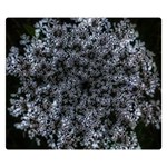 Queen Annes Lace in White Double Sided Flano Blanket (Small)  50 x40  Blanket Front