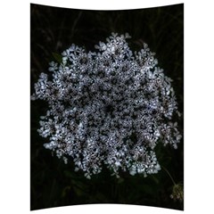 Queen Annes Lace In White Back Support Cushion by okhismakingart