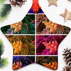 Sideways Sumac Collage Ornament (star) by okhismakingart