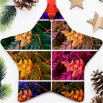 Sideways Sumac Collage Star Ornament (Two Sides) Front