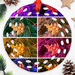 Sideways Sumac Collage Ornament (round Filigree) by okhismakingart