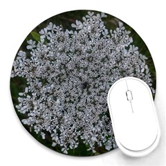 Queen Annes Lace Original Round Mousepads by okhismakingart