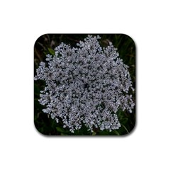 Queen Annes Lace Original Rubber Coaster (square)  by okhismakingart