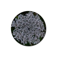 Queen Annes Lace Original Rubber Round Coaster (4 Pack)  by okhismakingart