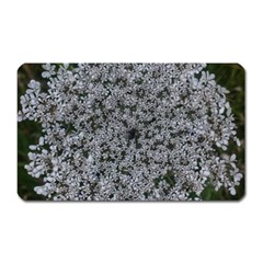 Queen Annes Lace Original Magnet (rectangular) by okhismakingart