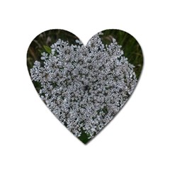 Queen Annes Lace Original Heart Magnet by okhismakingart