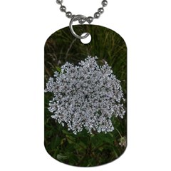 Queen Annes Lace Original Dog Tag (two Sides) by okhismakingart