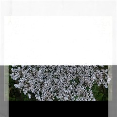 Queen Annes Lace Original Rectangular Jigsaw Puzzl by okhismakingart