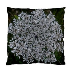 Queen Annes Lace Original Standard Cushion Case (two Sides) by okhismakingart