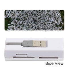 Queen Annes Lace Original Memory Card Reader (stick) by okhismakingart